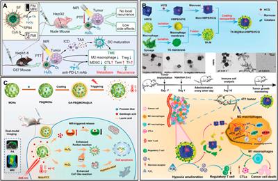 Nanotechnological strategies to increase the oxygen content of the tumor